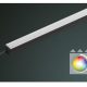 LEDLUX LX RGBW prisma Lichteinsatz